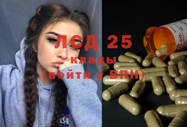 таблы Новодвинск