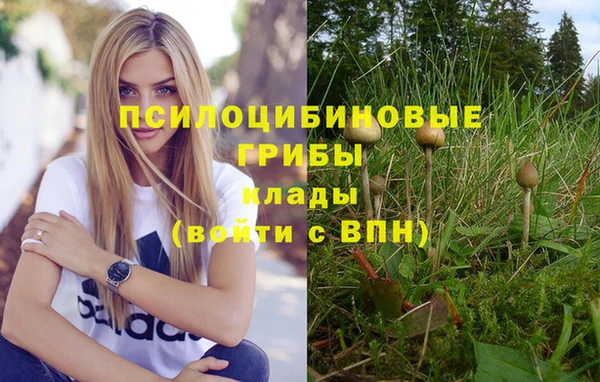 apvp Няндома