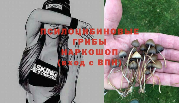spice Нягань