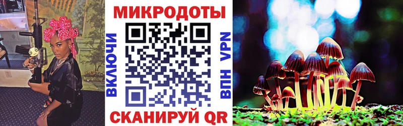 Галлюциногенные грибы Magic Shrooms  МЕГА зеркало  Удомля 