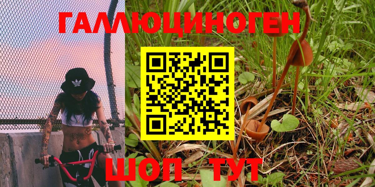 Галлюциногенные грибы GOLDEN TEACHER  Удомля 