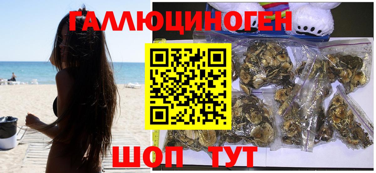 Псилоцибиновые грибы GOLDEN TEACHER  Галлюциногенные грибы Cubensis  Вход с VPN  Удомля 